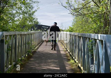 Ein sehr malerischer Teil der Themse, der sich in Kennington am Hinksey Stream anschließt. Riesige Pylons in Hülle und Fülle, und der Thames Path verläuft durch die Fußgängerbrücke Stockfoto