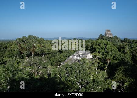 Blick auf die Ruinen von Tikal in Guatemala bei Sonnenaufgang Stockfoto