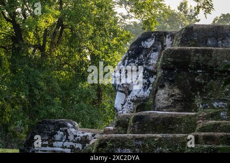 Uaxactun Ruinen in Guatemala im Tikal Nationalpark Stockfoto