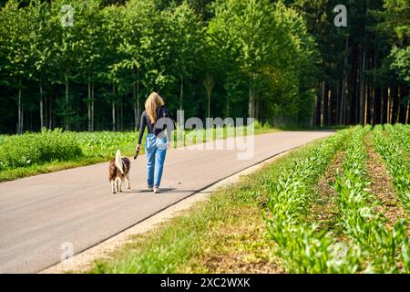 Bayern, Deutschland - 13. Juni 2024: Eine junge Frau mit blonden Haaren, gekleidet in Jeans und einem dunklen Hemd, geht auf einem Landweg, begleitet von ihrem großen Hund an der Leine *** eine junge Frau mit blonden Haaren, gekleidet in Jeans und einem dunklen Shirt, spaziert auf einem ländlichen Weg, begleitet von ihrem großen Hund an einer Leine Stockfoto