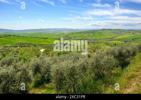 Monticchiello, Italien - 27. April 2023: Toskanische Landschaft mit grünen Feldern in der Nähe von Monticchiello. Italien Stockfoto