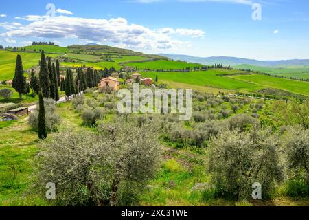 Monticchiello, Italien - 27. April 2023: Toskanische Landschaft mit Bauernhof und Zypressen in der Nähe von Monticchiello. Italien Stockfoto