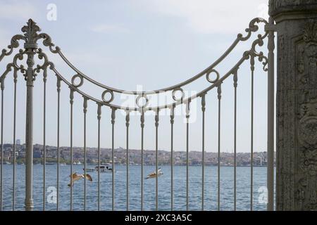 Hof des Dolmabahce Palace. Vögel und Himmel Stockfoto