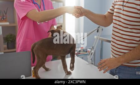 In einer Tierklinik schüttelt eine Tierärztin in rosafarbenen Schutten mit einem Mann die Hand, während ein brauner Welpe auf einem Untersuchungstisch steht. Stockfoto