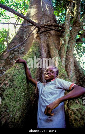 Suriname, der Junge im Amazonas-Regenwald im sauren Osten hält einen riesigen Baum. Stockfoto