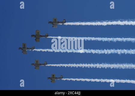 Lieferwagen, RV-8. Team Raven, Aerobatic Team Stockfoto