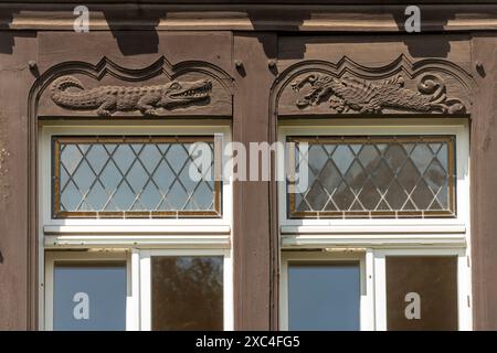 Alsfeld, Hochstraße 1, Fabrikantenvilla von 1901 im Heimatstil, Schnitzerei über einem Fenster, Krokodil und Drache Stockfoto