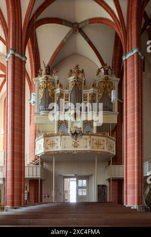 Homberg (Efze), Pfarrkirche St. Marien, Blick nach Westen zur Orgel Stockfoto