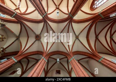 Homberg (Efze), Pfarrkirche St. Marien, Gewölbe im Langhaus Stockfoto