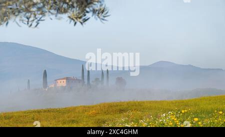 Tuscany, Italien; 15. Juni 2024 - Blick auf ein toskanisches Bauernhaus in der Toskana, Italien bei einem nebeligen Sonnenaufgang Stockfoto