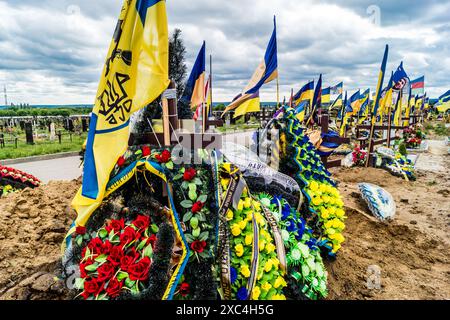Charkiw, Ukraine, 13. Juni 2024 Aleja Slawy, Militärfriedhof südlich von Charkiw. Die Gräber von Soldaten, Helden, die die Ukraine verteidigten, sind bedeckt mit Stockfoto