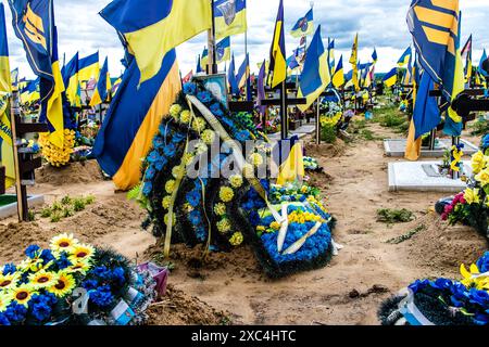 Charkiw, Ukraine, 13. Juni 2024 Aleja Slawy, Militärfriedhof südlich von Charkiw. Die Gräber von Soldaten, Helden, die die Ukraine verteidigten, sind bedeckt mit Stockfoto