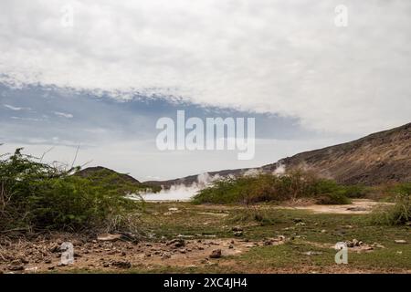 Alolabad Geothermalgebiet in Äthiopien mit surrealer Landschaft mit bunten heißen Quellen, dampfenden Fumarolen und ausbrechenden heißen Salzgeysiren in einer trockenen Umgebung Stockfoto