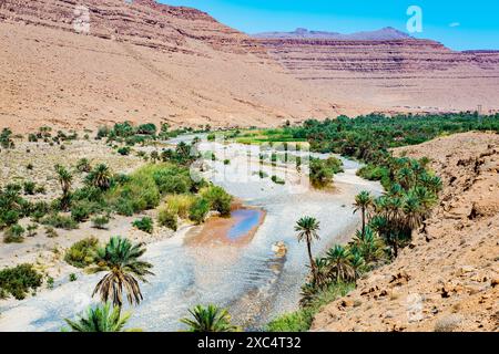 Ziz-Tal In Marokko: Eine Der Größten Oasen Der Welt Stockfoto