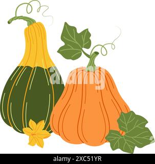 Reife Kürbisse, Blätter und Blumen. Handgezeichneter trendiger flacher Stil isoliert auf Transparent. Bio-Lebensmittel, Herbsternte, Thanksgiving, halloween-Konzept. Gesundes vegetarisches Menü. Vektorabbildung Stock Vektor