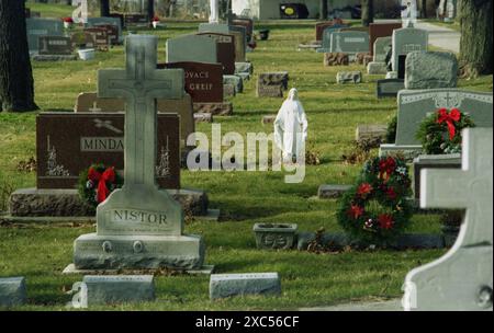 Aurora, Illinois, USA, ca. 1991. Osteuropäische Familiennamen auf den Grabsteinen eines christlich-katholischen Friedhofs. Stockfoto