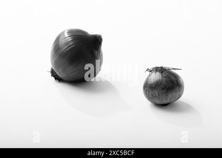 Zwiebel in Schwarz-weiß--monochrome Fotografie Fine Art Stockfoto