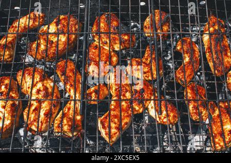 Fleischstücke auf einem Metallgrill, Grill, Grill, Picknick. Fleisch auf Feuer, Tourismus Stockfoto