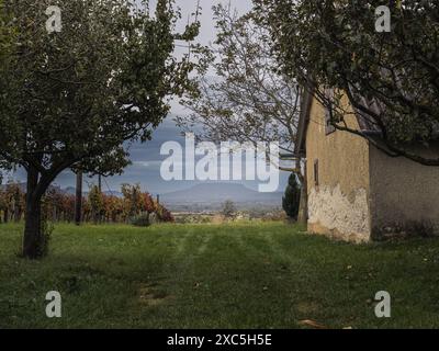 Landschaft der Weinberge und altes Gebäude mit dem Badacsony-Berg im Hintergrund bei Sonnenuntergang in Ungarn, Weinanbauproduktion Stockfoto