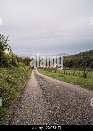 Landschaft der Weinberge und altes Gebäude mit dem Badacsony-Berg im Hintergrund bei Sonnenuntergang in Ungarn, Weinanbauproduktion Stockfoto