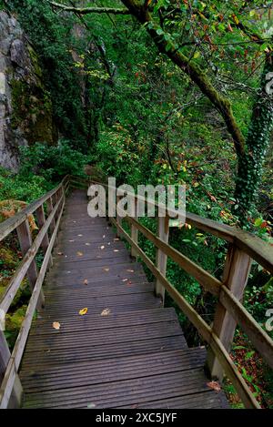 Fußgängerbrücke des Flusses Mao in Ribeira Sacra, Ourense, Spanien Stockfoto