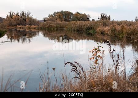 Friedliche Landschaft des ukrainischen Ufers des Siwerskyi Donets mit Herbstbäumen und bewölktem Himmel Stockfoto
