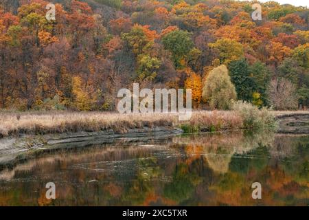 Herbst River Turn mit bunten Bäumen am Flussufer mit Reflektionen. Schönheit des herbstlichen Donets-Flusses Siwerskyi in der Ukraine Stockfoto