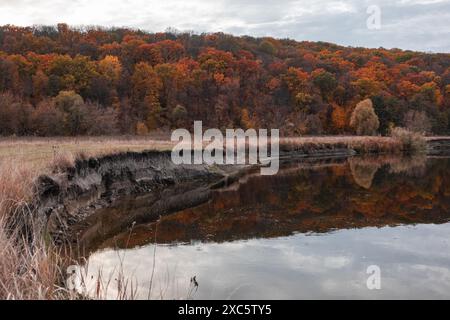 Bezaubernder Blick auf die herbstliche Flussschleife, eine ruhige Flusslandschaft mit bunten Bäumen, Wolkenreflexionen, die den Fluss Siwerskyi Donets in der Ukraine darstellen Stockfoto
