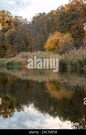 Herbstliche Flussszene mit goldenen Bäumen und ruhigen Reflexen in der Ukraine Stockfoto