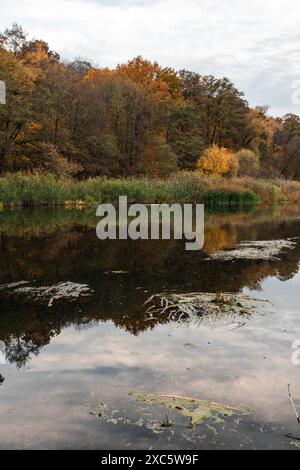 Herbstszene auf dem Fluss Siwerskyi Donets in der Ukraine, mit goldenen Bäumen und ruhigen Reflexen Stockfoto