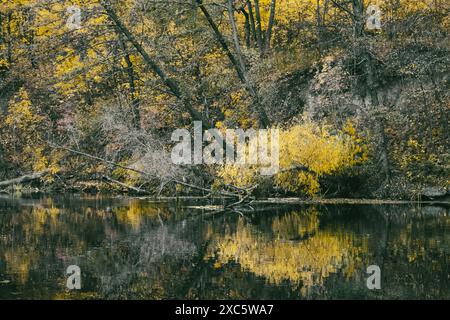 Herbstliche, farblich abgestufte Szene auf dem Fluss mit gelben Bäumen, Wald und Spiegelreflexen Stockfoto