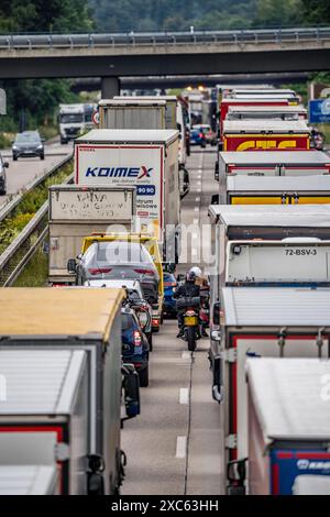 Motorradfahrer drängen sich in der Fahrbahnmitte zwischen den Fahrzeugen vorbei, bei einem 9 km langer Stau auf der Autobahn A40 in Richtung Osten, zwischen der Niederländischen Grenze bei Venlo, vor der Anschlussstelle Wankum, wegen einer Baustelle, Verkehrsführung auf eine Spur, viele LKW im Stau, NRW, Deutschland, Autobahnstau *** Motorradfahrer quetschen mitten auf der Straße zwischen den Fahrzeugen vorbei, in einem 9 km langen Stau auf der Autobahn A40 in östlicher Richtung, zwischen der niederländischen Grenze bei Venlo, vor der Kreuzung Wankum, wegen einer Baustelle, Verkehrsführung auf eine Spur, viele LKW Stockfoto