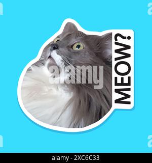 Überraschte Katze. Sprechende Katze. Miau! Auf einem T-Shirt drucken. Vektoraufkleber. Realistischer Stil. Stock Vektor