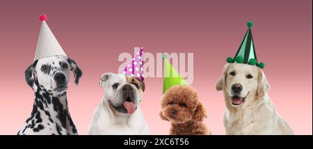 Viele verschiedene Tiere mit Partyhüten auf rosafarbenem Hintergrund, Bannerdesign Stockfoto