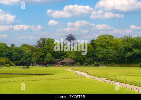 Wunderschöner Blick auf den Korakuen Garten mit Okayama Castle im Hintergrund. Stockfoto