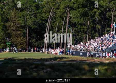 Pinehurst, North Carolina, USA. Juni 2024. Tiger Woods aus Jupiter, Florida, spielt seinen Schuss aus dem 18. Abschlag während der zweiten Runde der 124. U.S. Open am 14. Juni 2024 im Pinehurst Resort & Country Club (Kurs Nr. 2) in Pinehurst, North Carolina. (Kreditbild: © Timothy L. Hale/ZUMA Press Wire) NUR REDAKTIONELLE VERWENDUNG! Nicht für kommerzielle ZWECKE! Stockfoto