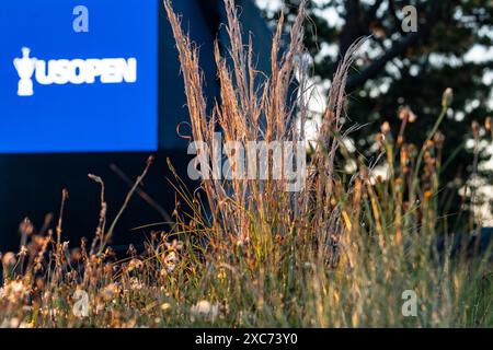 Pinehurst, North Carolina, USA. Juni 2024. Die Naturlandschaft entlang des 18. Fairways wird vom Sonnenaufgang vor der Übungsrunde am Mittwoch für die 124. U.S. Open am 12. Juni 2024 im Pinehurst Resort & Country Club (Kurs Nr. 2) in Pinehurst, North Carolina, beleuchtet. (Kreditbild: © Timothy L. Hale/ZUMA Press Wire) NUR REDAKTIONELLE VERWENDUNG! Nicht für kommerzielle ZWECKE! Stockfoto