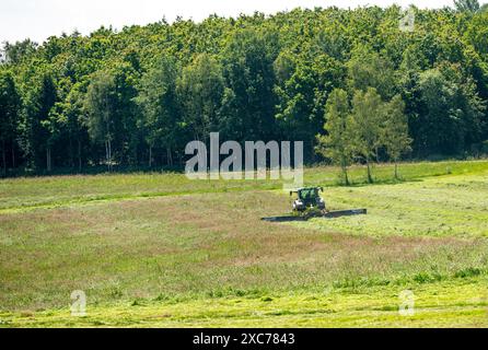 Landwirt, der mit seinem Traktor eine Heuwiese mäht, Rheinland-Pfalz, Deutschland Stockfoto