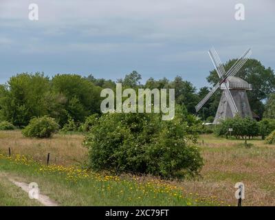 Eine Windmühle steht mitten in einer grünen Landschaft mit Bäumen und einem Feldweg unter bewölktem Himmel, ahrenshoop, zingst, deutschland Stockfoto