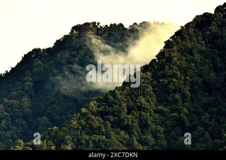 Regenwald an den Hängen des Mount Duasudara (Dua Saudara) in Nord-Sulawesi, Indonesien. Stockfoto