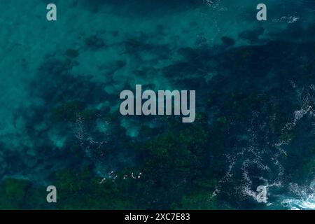 Wellen brechen im Winter am Strand von Sydney von oben in einem Hubschrauber Stockfoto