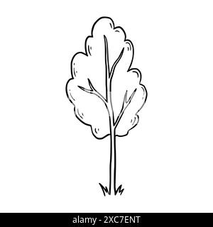 Handgezeichneter Baum. Skizzenstil kritzeln. Symbol für einfachen Strukturbaum der Zeichenlinie. Isolierte Vektordarstellung. Stock Vektor