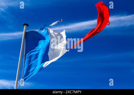 Zerrissene französische Flagge im Wind Stockfoto