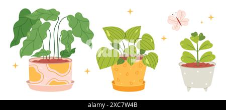 Set von Hauspflanzen in Töpfen im handgezeichneten Stil. Ficus, Sukkulent, Pilea, Stock Vektor