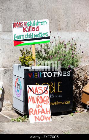 Freies Palästina kleiner friedlicher Protest in Totnes, Devon, Großbritannien Stockfoto