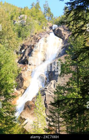 Wasserfall im Shannon Falls Provincial Park, Squamish, BC, Kanada Stockfoto