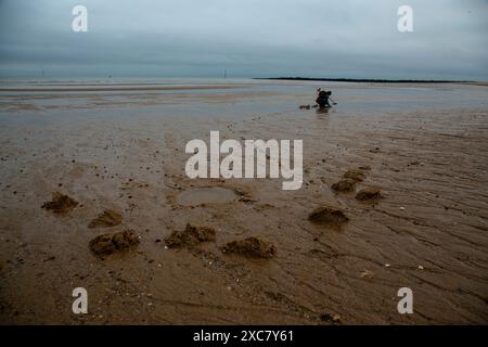 Eine weit entfernte Figur (nicht identifizierbar) am Strand von Clacton-on-Sea, auf der Suche nach Schätzen Stockfoto