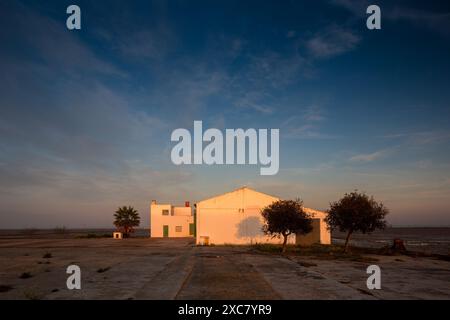 Friedlicher Sonnenaufgang über den Reisfeldern in Isla Mayor, Sevilla, Spanien. Das Licht am frühen Morgen taucht ein weißes Gebäude und die umliegende Landschaft auf. Stockfoto