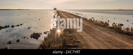 Wunderschöner Sonnenaufgang über den friedlichen Reisfeldern in Isla Mayor, Sevilla, Spanien, der die Ruhe und Ruhe der Landschaft einfängt. Stockfoto