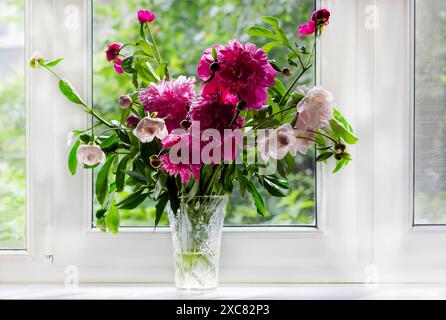 Bouquet von Pfingstrosen auf einer Fensterbank an einem sonnigen Tag Stockfoto